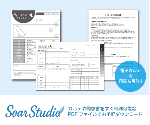 ダウンロードサイトSoar studioへ